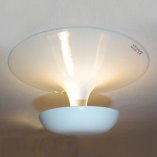 потолочный светильник 2004.03